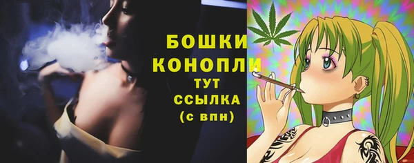 стаф Кохма