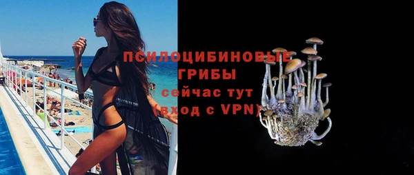 мяу мяу мука Кулебаки