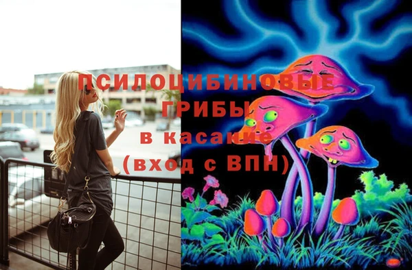 герыч Куйбышев