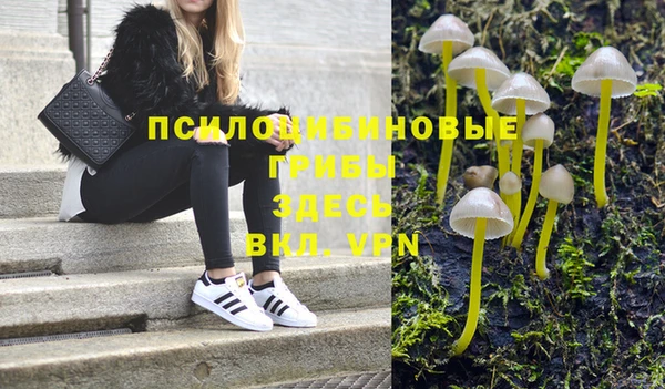 мяу мяу мука Кулебаки