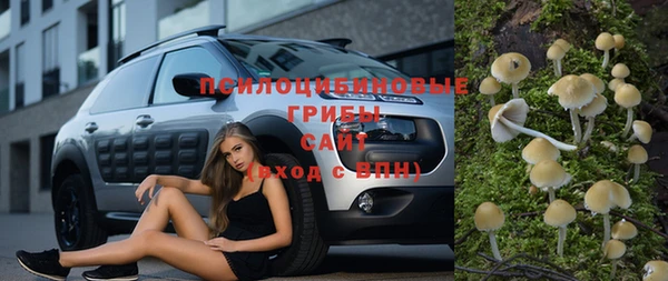 мяу мяу мука Кулебаки