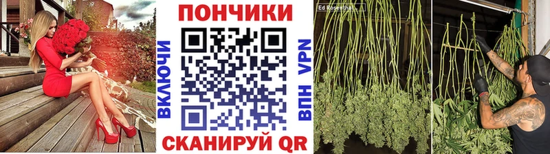 это состав  Мамадыш  Бошки Шишки планчик 